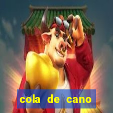 cola de cano quanto tempo para secar